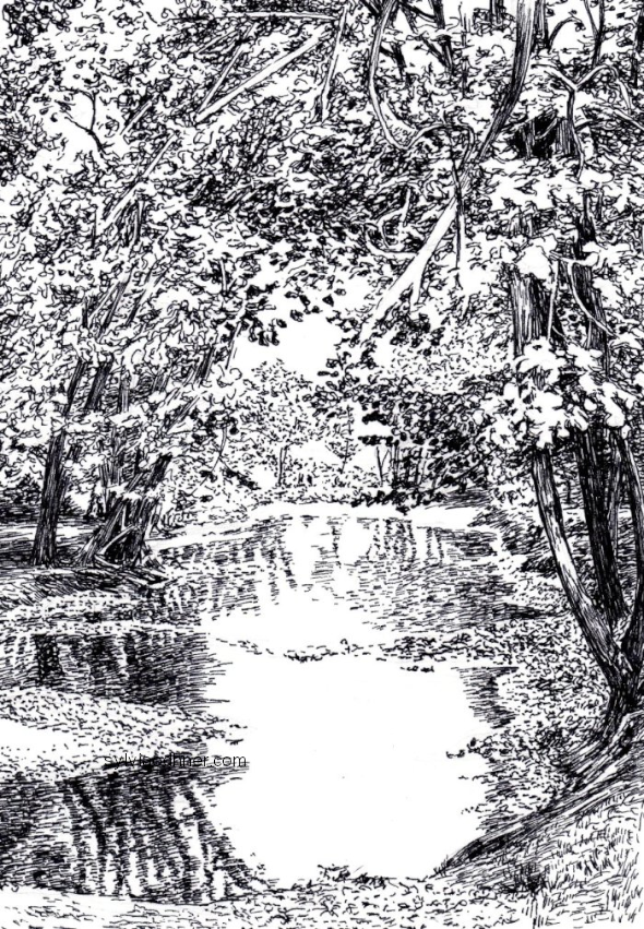 Pennypack creek